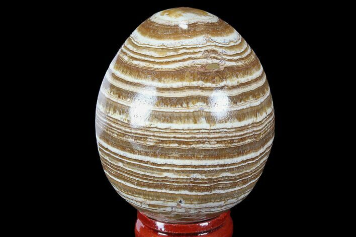 Polished, Banded Aragonite Egg - Morocco #98432